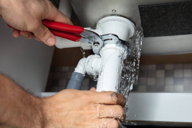 Best Basement water damage restoration  in Eddyville, IA