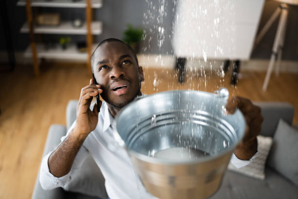 Best Basement water damage restoration  in Eddyville, IA
