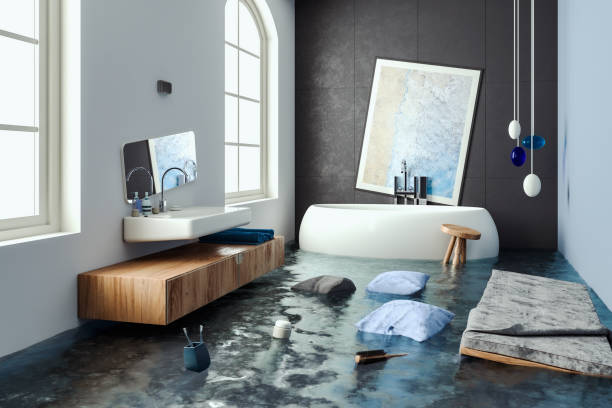 Best Water damage restoration mold remediation  in Eddyville, IA