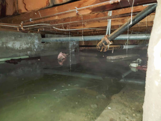 Best Residential water damage restoration  in Eddyville, IA