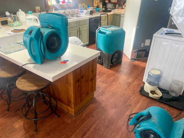 Best 24/7 water damage repair  in Eddyville, IA