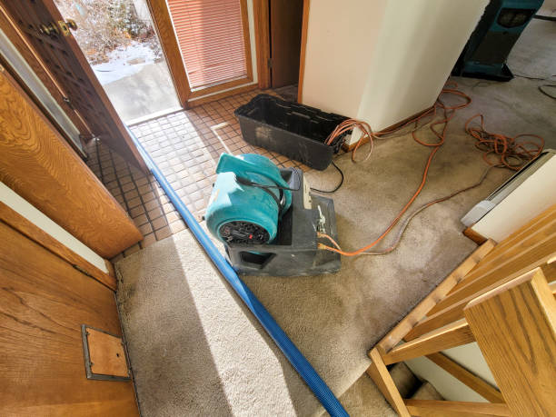 Best Emergency water extraction  in Eddyville, IA