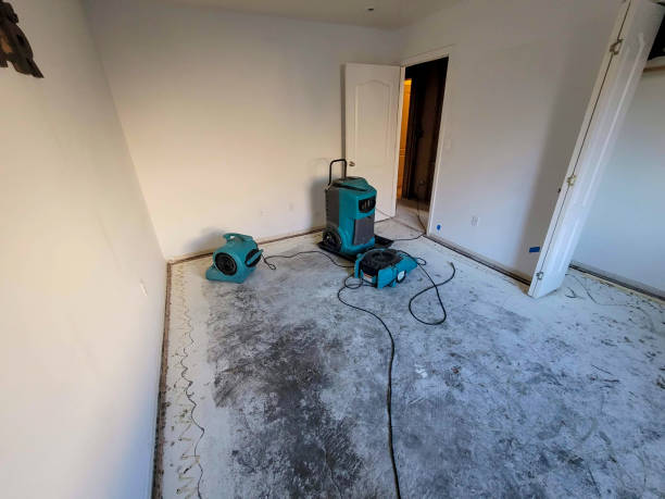 Best Water damage contractors near me  in Eddyville, IA