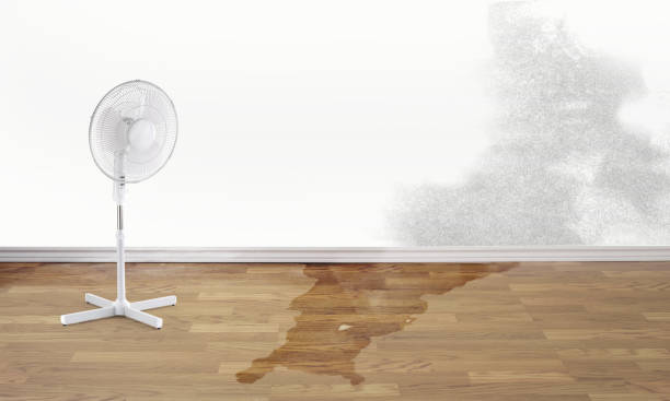 Best Water damage cleanup near me  in Eddyville, IA