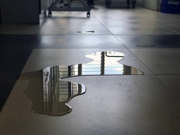 Best Water damage contractors near me  in Eddyville, IA