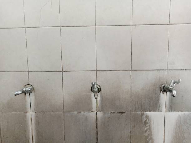 Best Water damage restoration near me  in Eddyville, IA