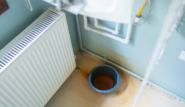 Best Local water damage restoration  in Eddyville, IA