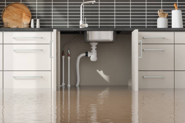 Best Flood damage cleanup  in Eddyville, IA