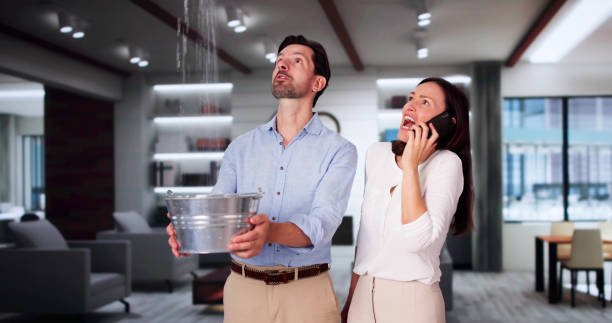 Best Professional water damage repair  in Eddyville, IA